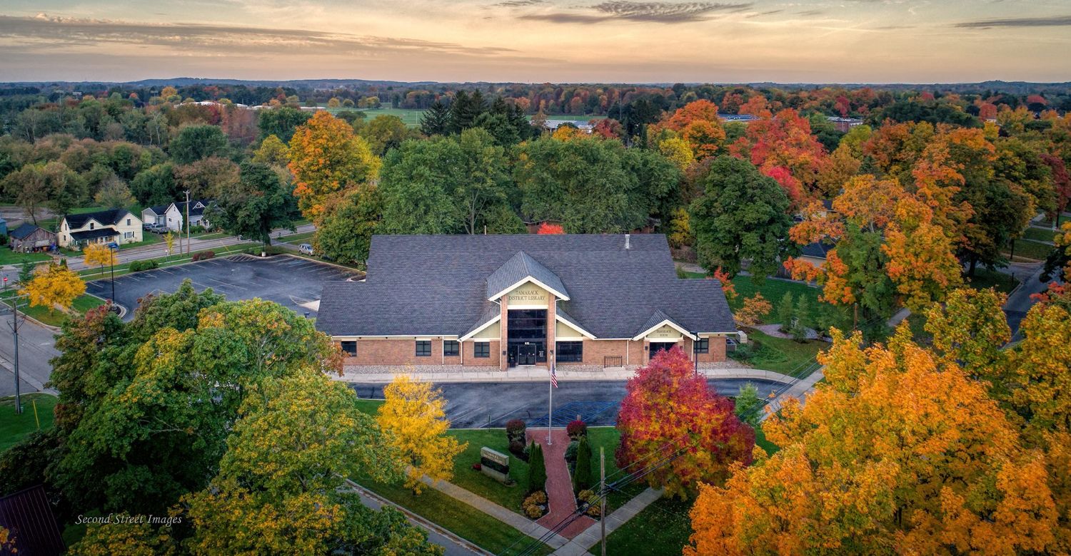 Aerial view of the Tamarack District Library
