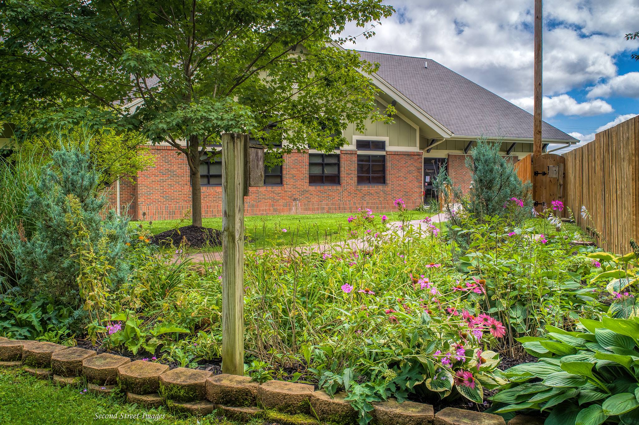 Photo of Friends Garden filled with plants and the library in the background