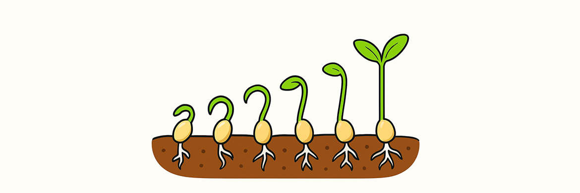 Seed sprouts graphic