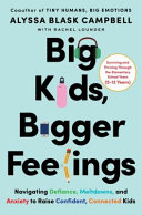 Image for "Big Kids, Bigger Feelings"
