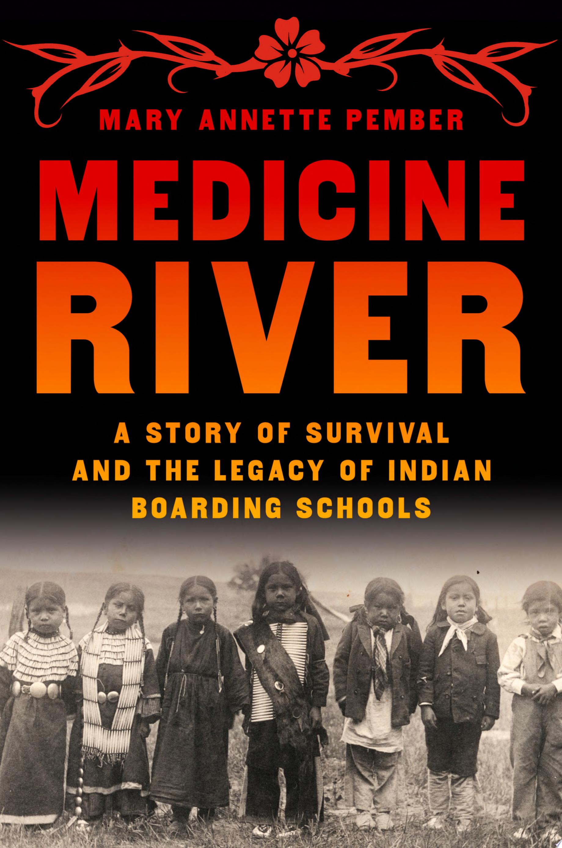Image for "Medicine River"