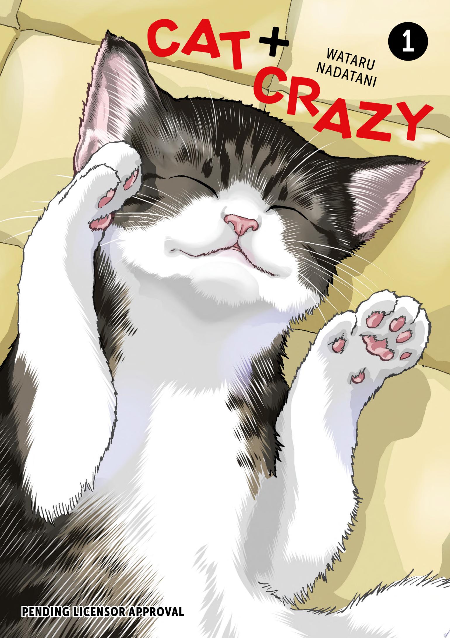Image for "Cat + Crazy Volume 1"