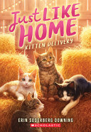 Image for "Kitten Delivery (Just Like Home, Book Two)"
