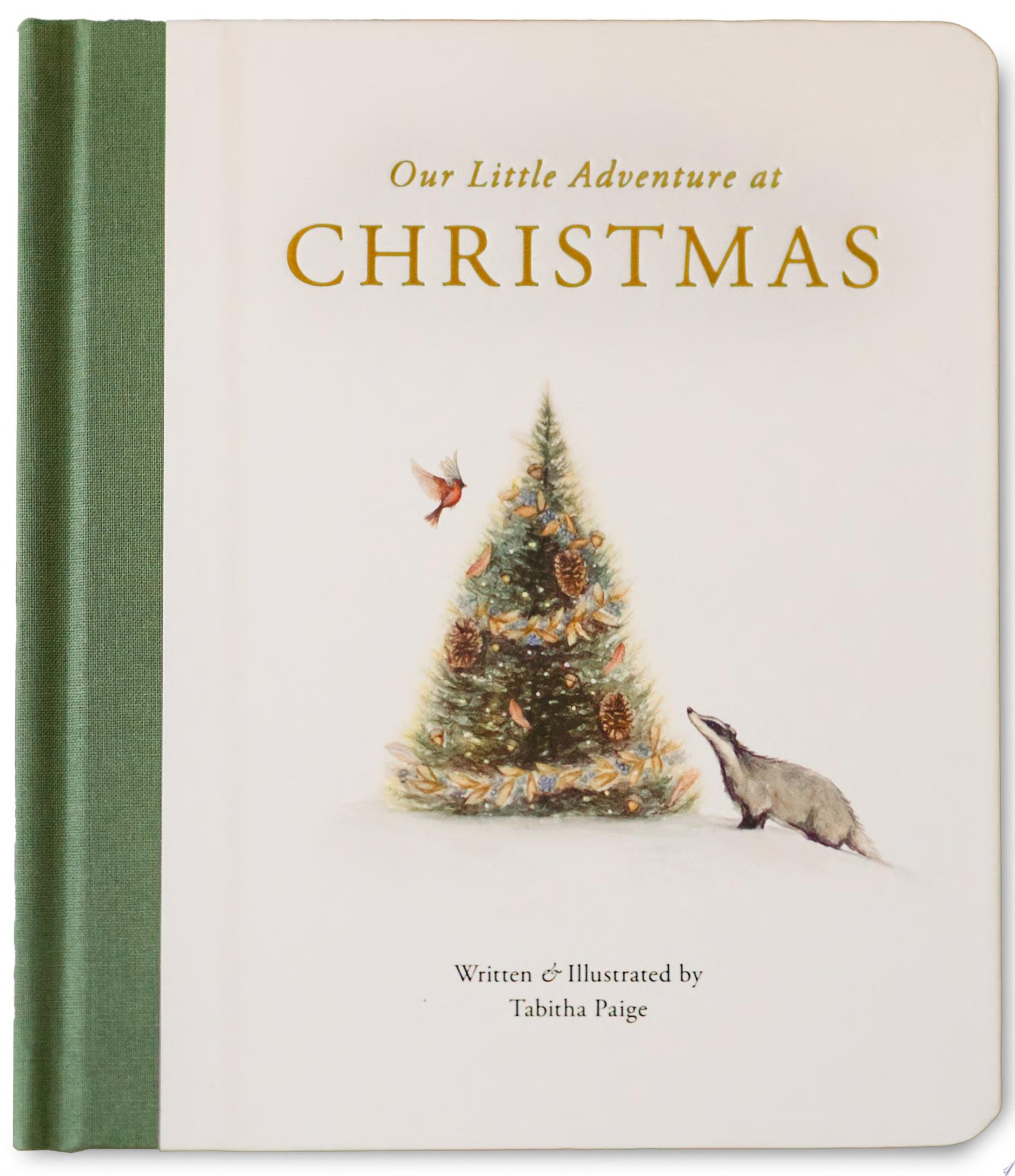Image for "Our Little Adventure at Christmas"