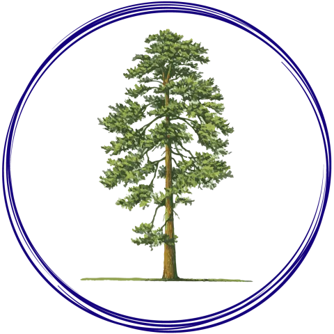 Tamarack tree in a blue circle