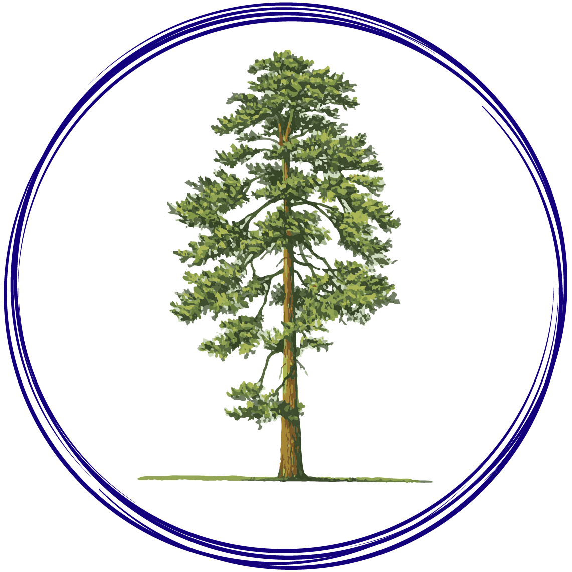 Tamarack tree in a blue circle