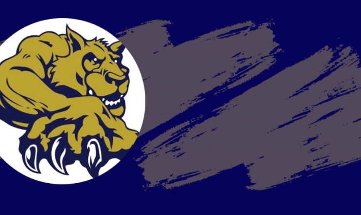 Wildcat on Navy background